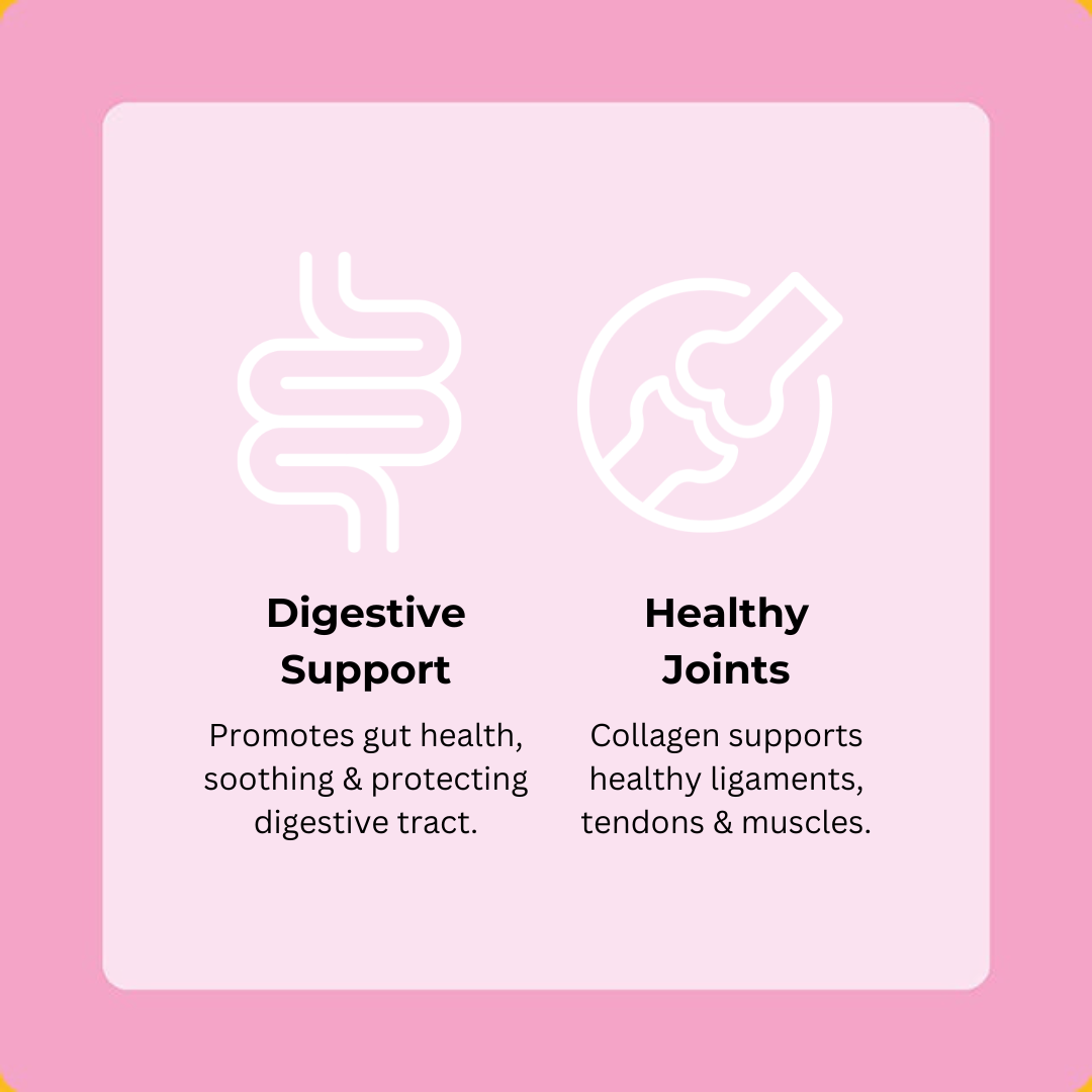 Salmon Happy Bones 5-Pack (60 Bones)