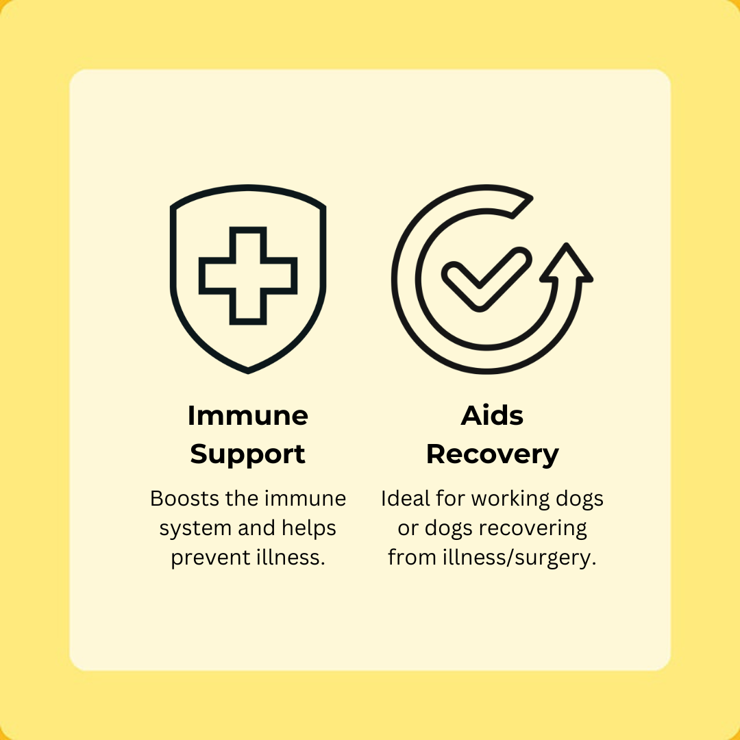 Duck Happy Bones 5-Pack (60 Bones)