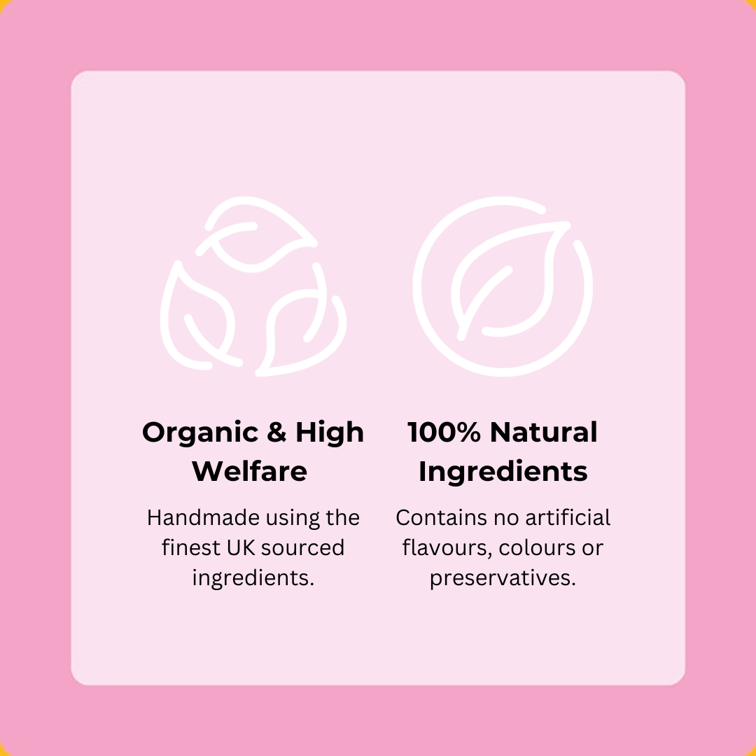 Salmon Happy Bones 5-Pack (60 Bones)