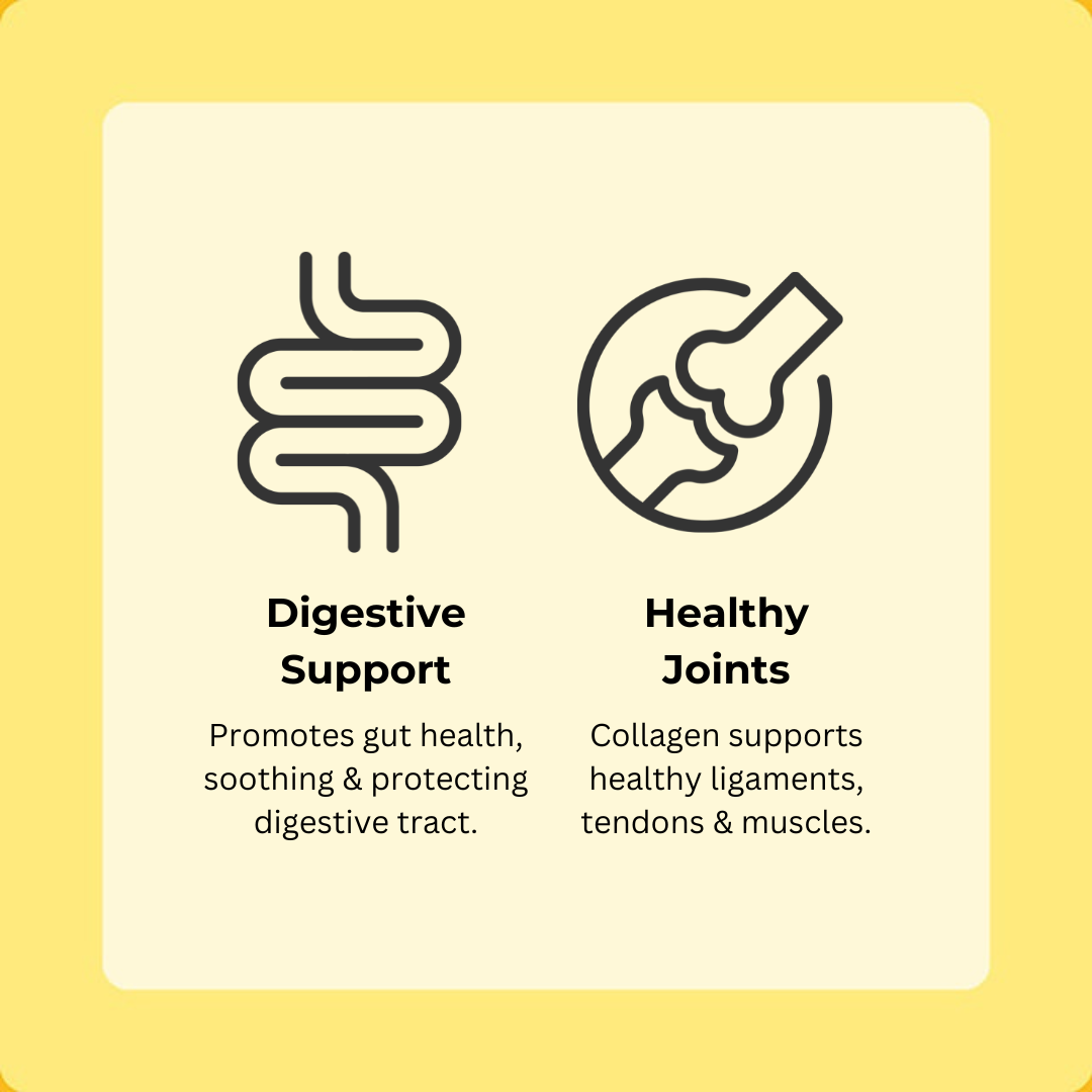 Duck Happy Bones 5-Pack (60 Bones)