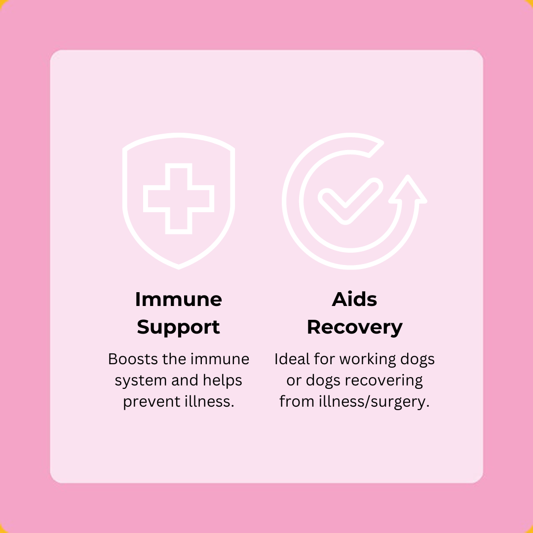 Salmon Happy Bones 5-Pack (60 Bones)