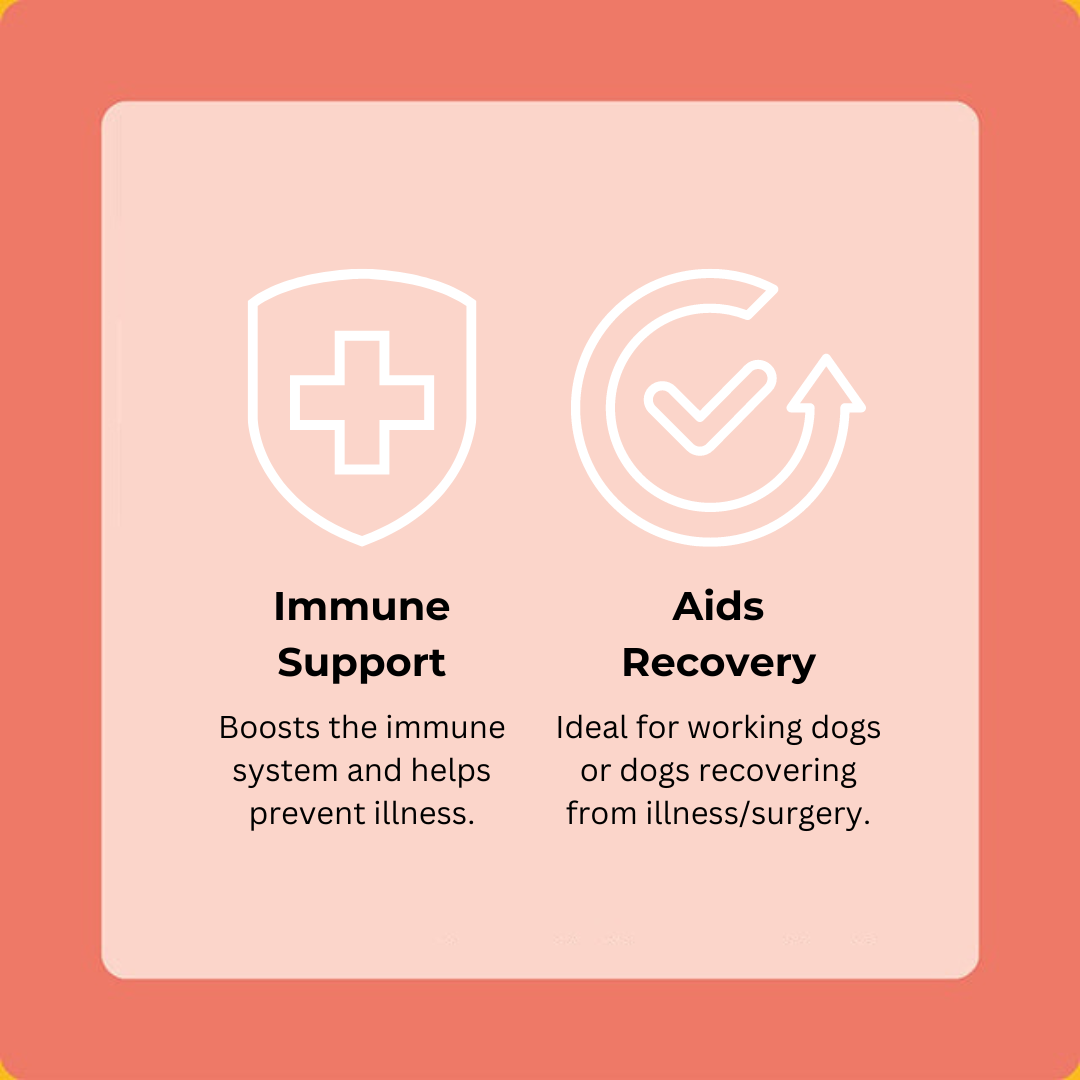 Venison Happy Bones 5-Pack (60 Bones)