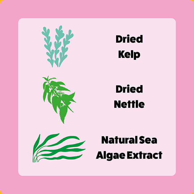 Salmon Happy Bones 5-Pack (60 Bones)