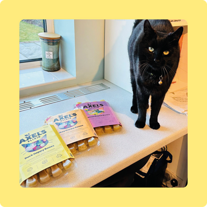 Duck Happy Bones for Cats