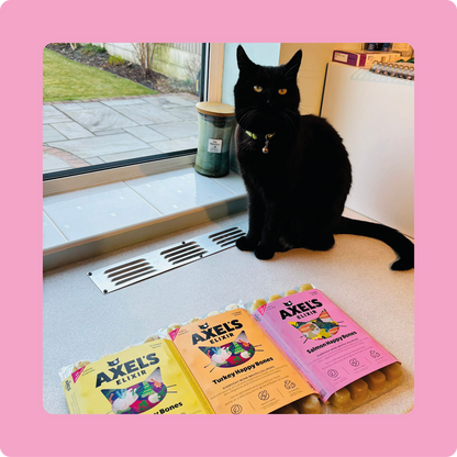 Salmon Happy Bones for Cats