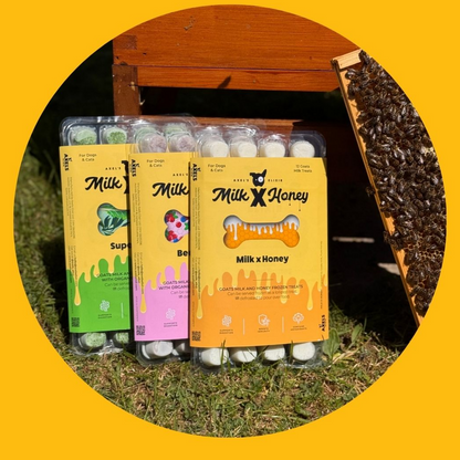 Milk & Honey Taster Pack (60 bones)