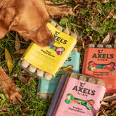 Axels Elixir
